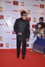 Amitabh Bachchan at Stardust Awards 2013 red carpet in Mumbai on 26th jan 2013 (531).JPG